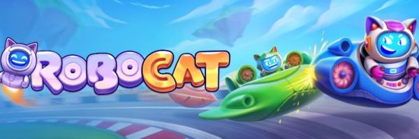 Robocat Casino aplikacja mobilna